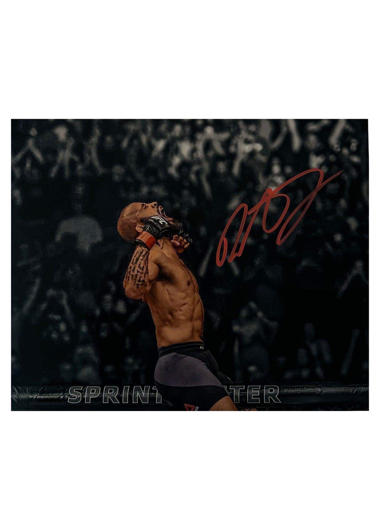 Demetrious Johnson signed 8X10 Photo