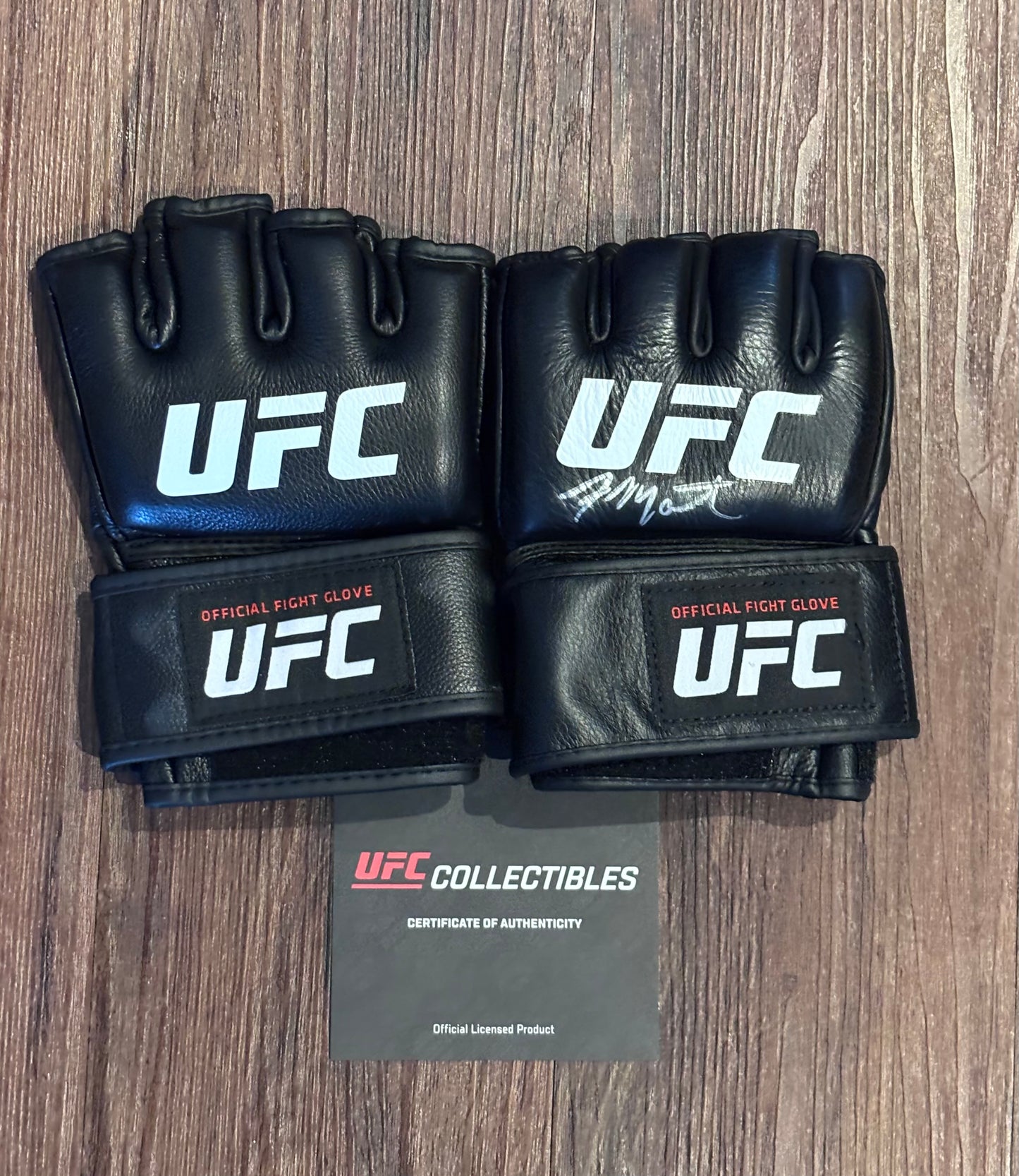 Aljamain Sterling Signed Official UFC Gloves