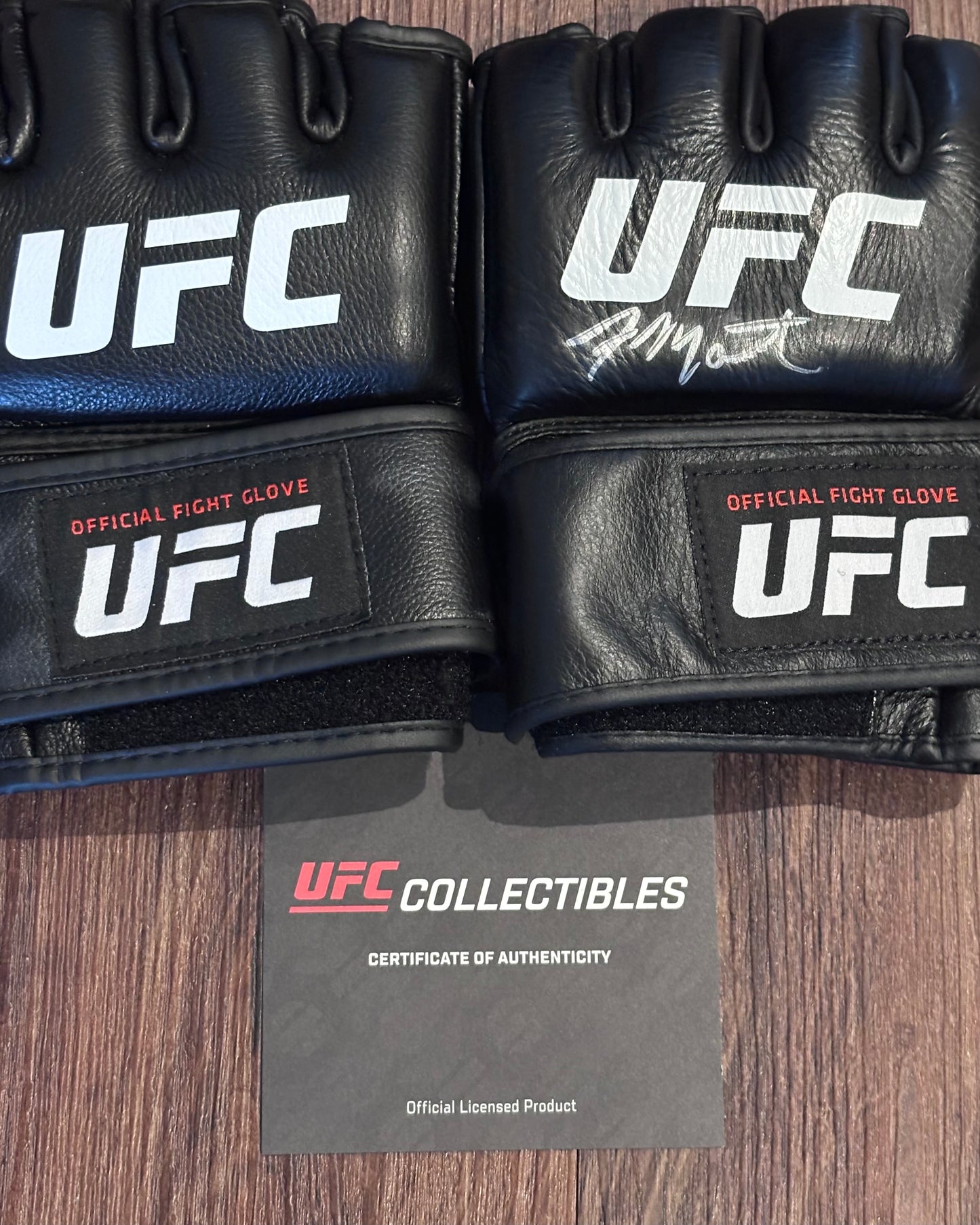 Aljamain Sterling Signed Official UFC Gloves