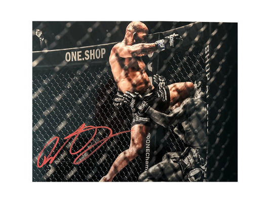 Demetrious Johnson signed 8X10 Photo