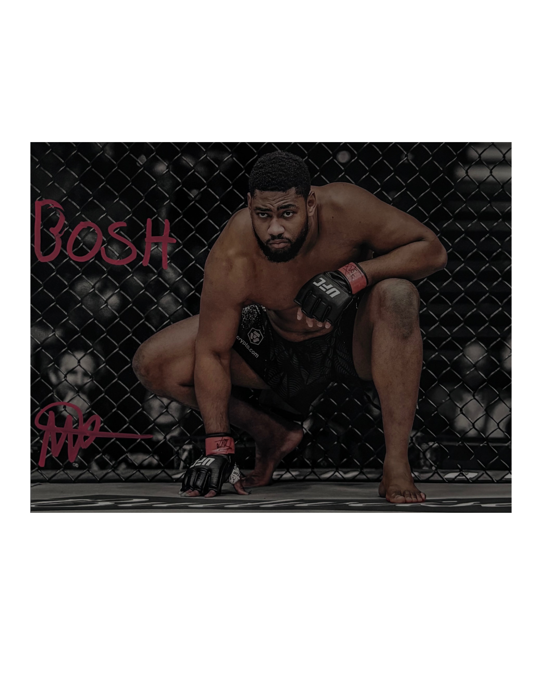 Mario Pinto Signed Inscribed BOSH UFC Photo 8X10 - Direct from signing