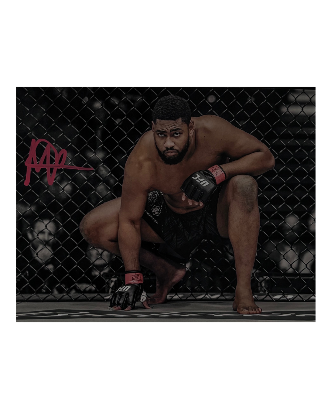 Mario Pinto Signed UFC Photo - 8X10 - Direct from signing