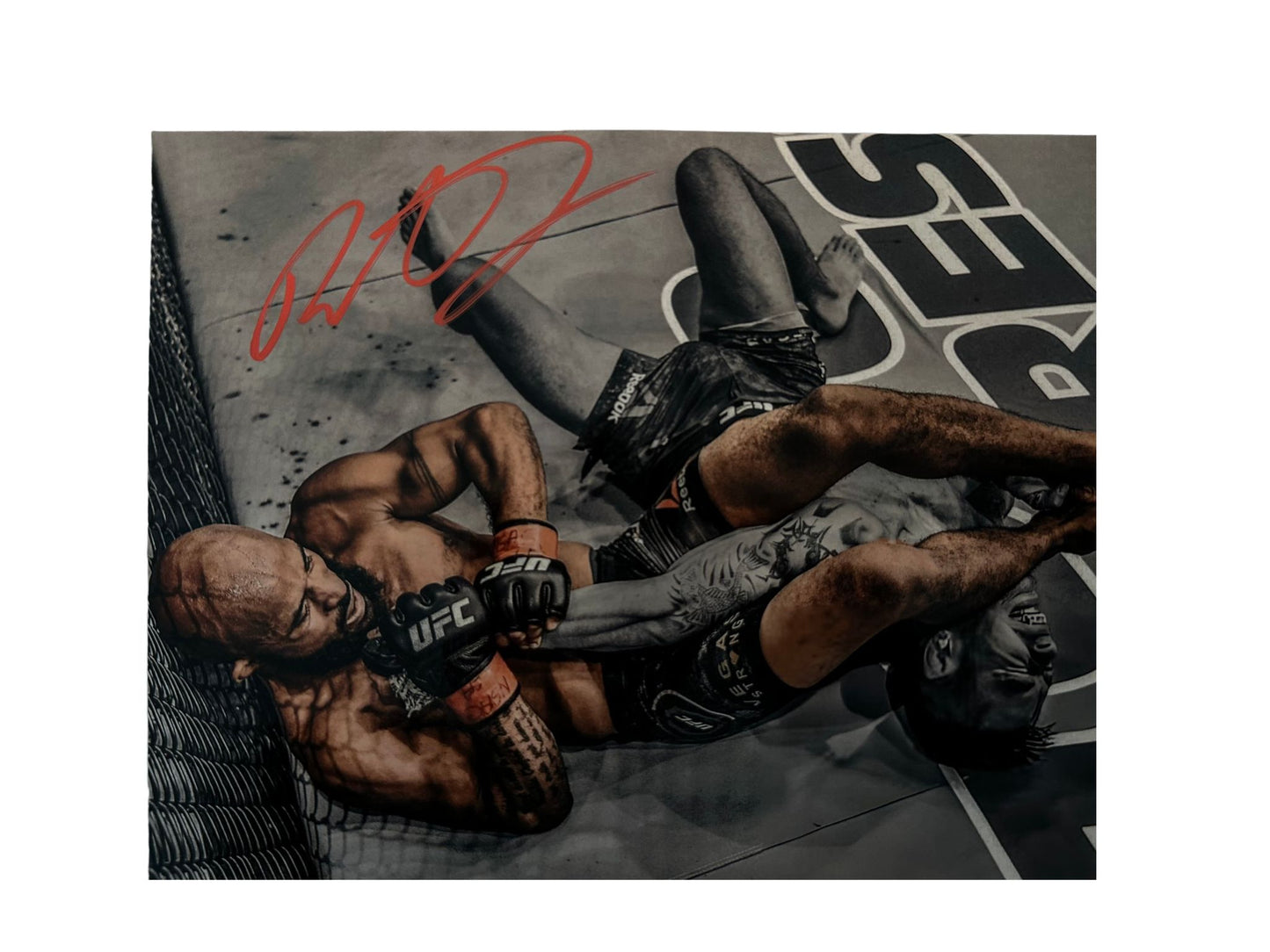 Demetrious Johnson Signed 8X10 Photo